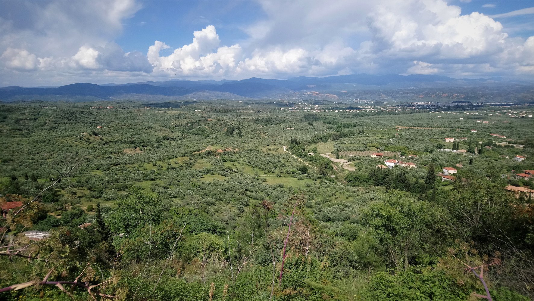 Eurotas Valley